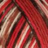 Regia 6-fadig Color 150g /Регия 6 ниток Колор 150г/ пряжа, 6 ниток, MEZ, 9801285 (06367, rainbow color)