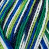 Bravo Color /Браво Колор/ пряжа Schachenmayr Originals, MEZ, 9801421 (02108, nebel color, белый/зеленый/светло-серый/темно-серый)