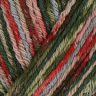 Cotton Color /Коттон Колор/ пряжа Regia, MEZ, 9801621 (02419, Tutti Frutti)