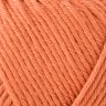 Summerlite DK /Саммерлайт ДК/ пряжа Rowan, 9802191 (464)