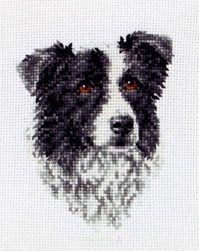 Набор для вышивания Anchor "Border Collie" 11*8см, MEZ Венгрия, PCE219