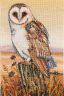 Набор для вышивания Anchor "Owl Horizon" 23*16см, MEZ Венгрия, PCE604