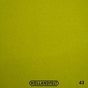 Войлок 20*30*0,1см, Richard Wernekinck Wolgroothander, 560221-20*30 (27, розовый (неон))