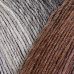 Virtuoso Color /Виртуозо Колор/ пряжа Regia, MEZ, 9801638 (03072)